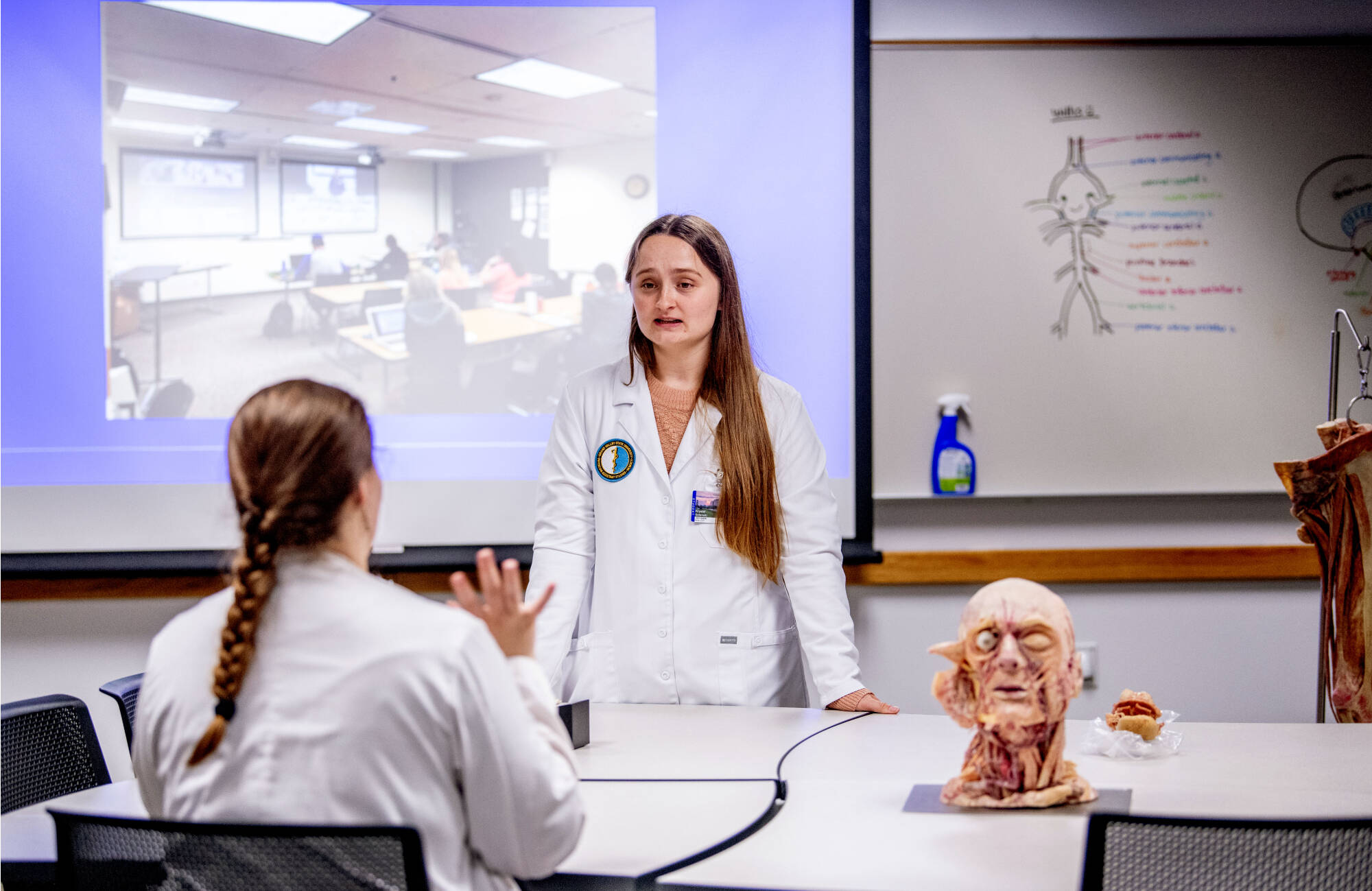 Physican assistant graduate students Tori Higgins, left, and Krystal Salenski, right, work in the anatomy lab in the new location in the Beckett Building on NMC's Front Street Campus on September 23.(Photo releases on file)